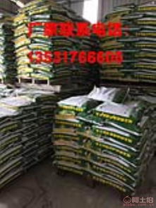 中山市五桂山耀王邦建材廠攜手阿土伯網(wǎng)，開啟建材熱賣促銷新篇章